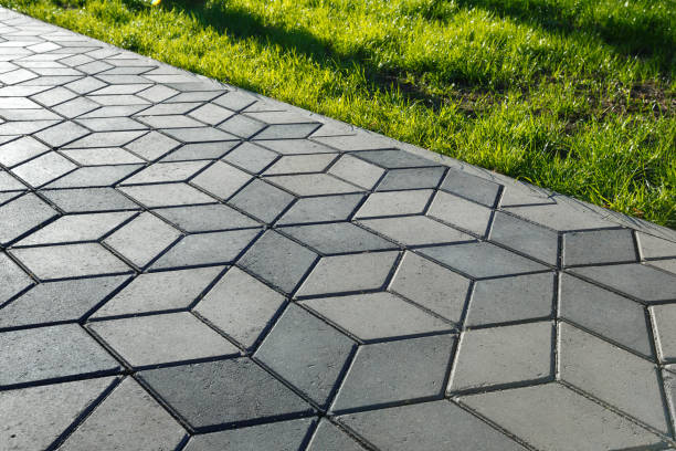 Best Affordable Driveway Paving  in Loyal, WI